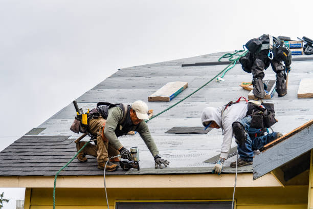 Professional Gutter Installation technician working in Gray, GA